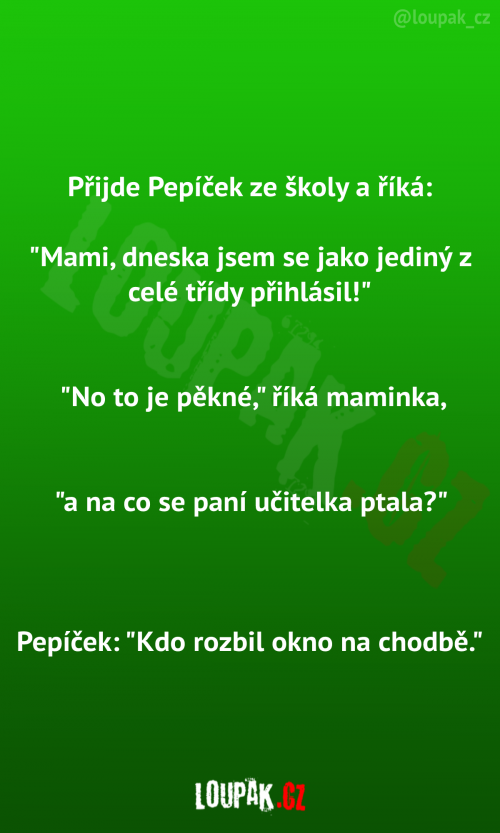  Pepíček vypráví mamince o škole 