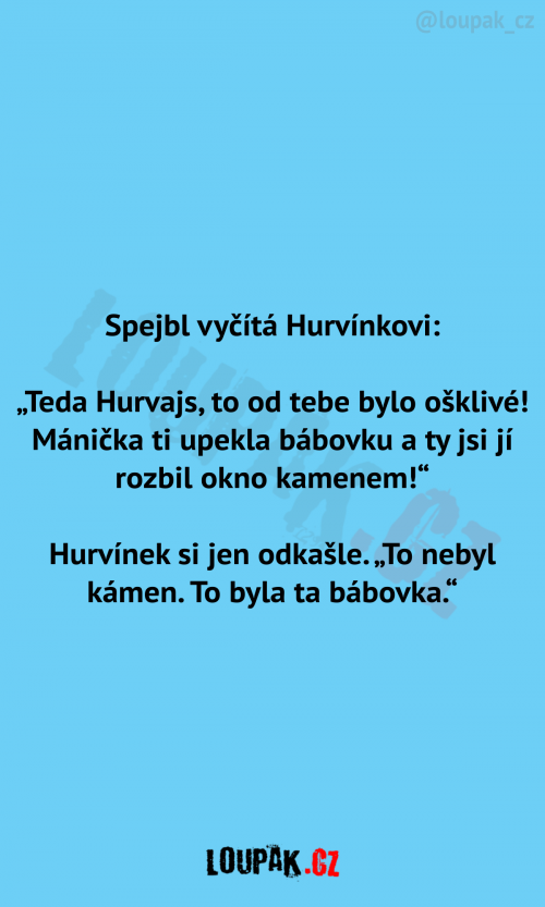 Spejbl vyčítá Hurvínkovi: