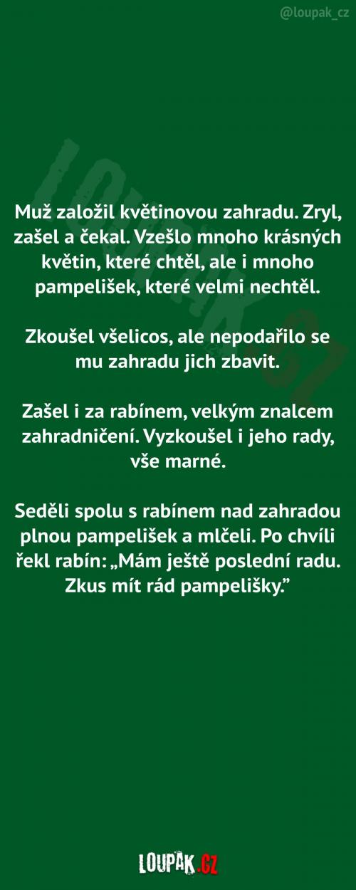  Muž a jeho problém s pampeliškami 