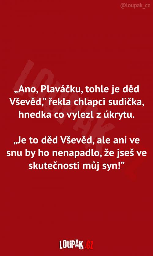  Děd Vševěd a Plaváček 