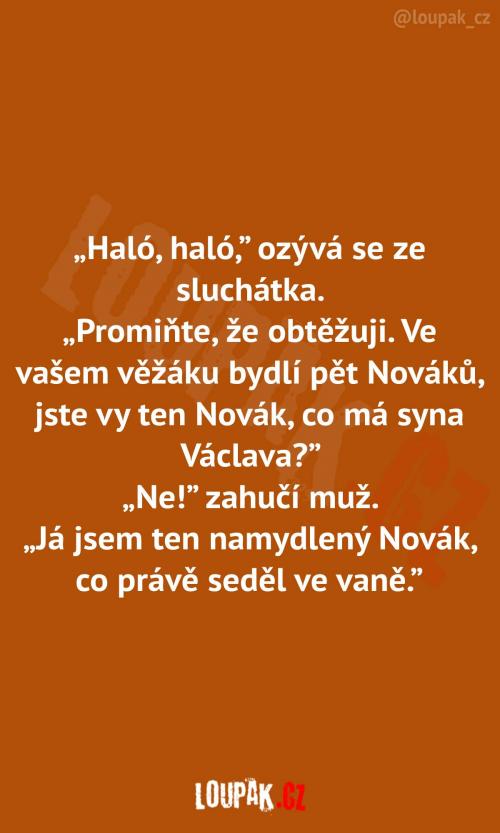  Shánění správného pana Nováka 