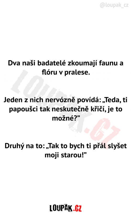  Dva badatelé zkoumají faunu a flóru 