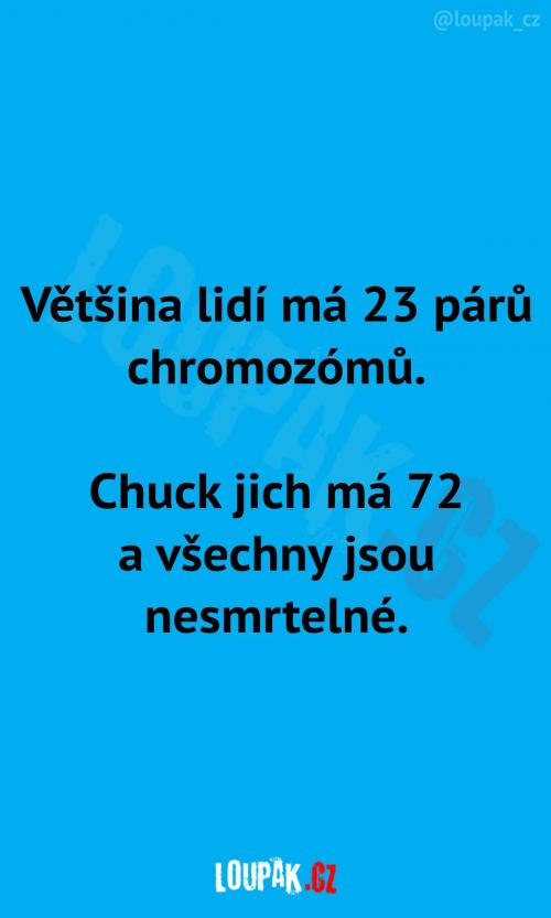 Kolik má Chuck chromozomů? 