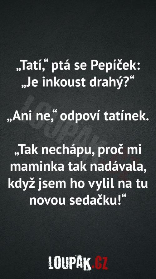 Pepíček se ptá tatínka