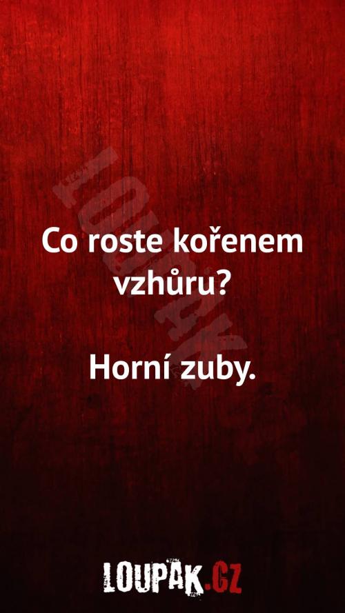  Co roste kořenem vzhůru 