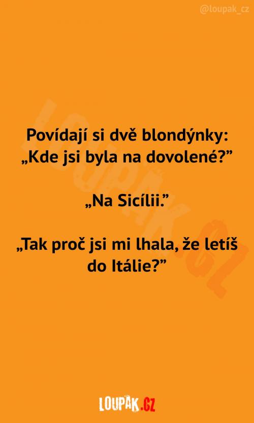  Kamarádka lhala o dovolené 