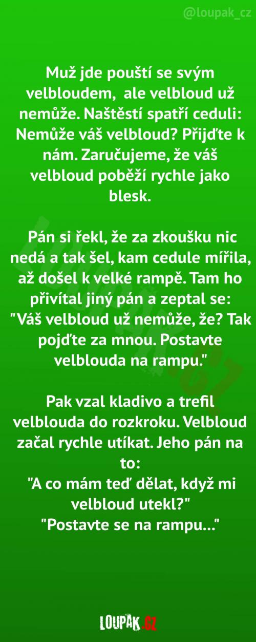  Když velbloud nemůže, rampa pomůže 