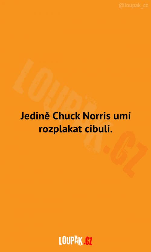  Chuck Norris s cibulí 