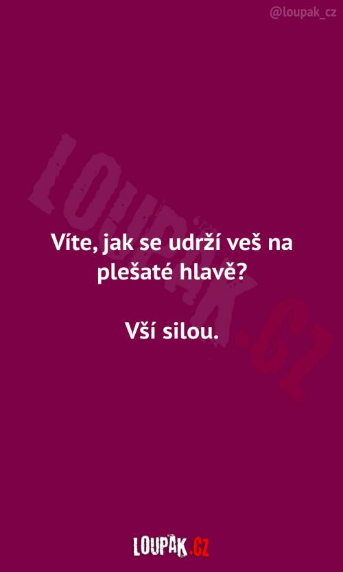  Veš na plešaté hlavě 