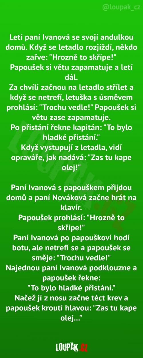  Paní Ivanová s opakujícím papouškem 