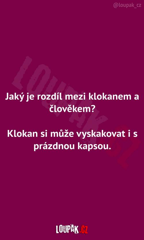  Rozdíl mezi klokanem a člověkem 