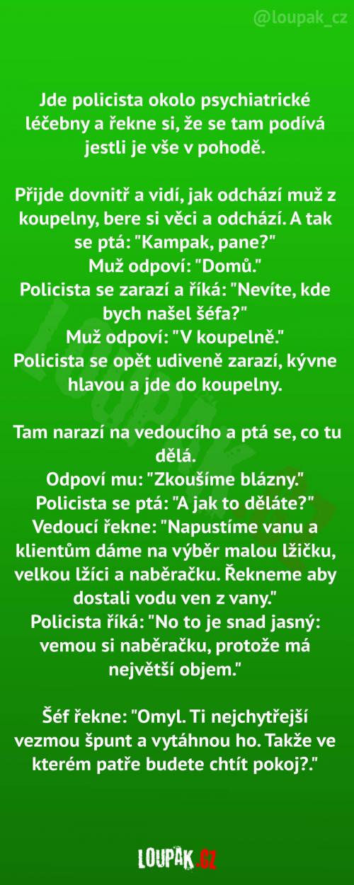  Policajt na kontrole psychiatrické léčebny 