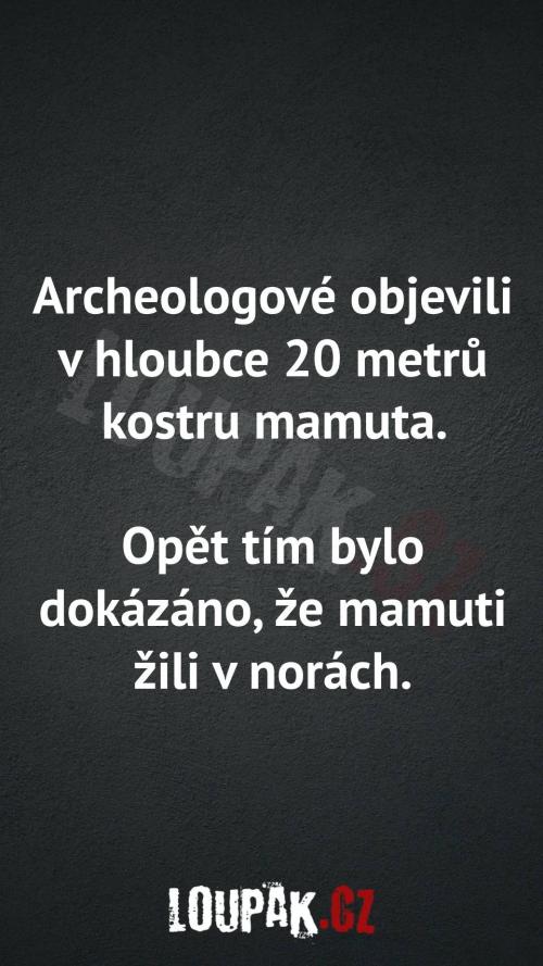  Archeologové objevili v hloubce 20 metrů kostru mamuta 