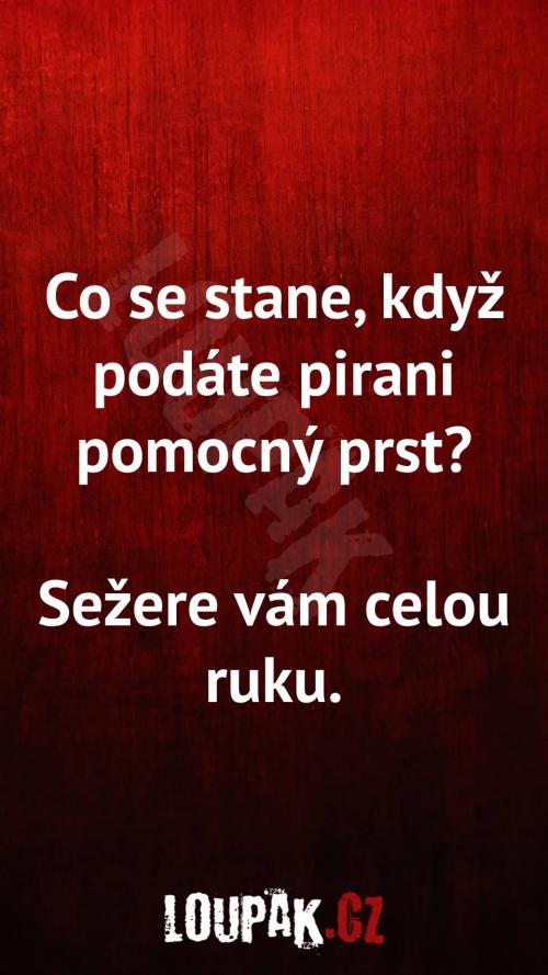  Co se stane, když podáte pirani pomocný prst 