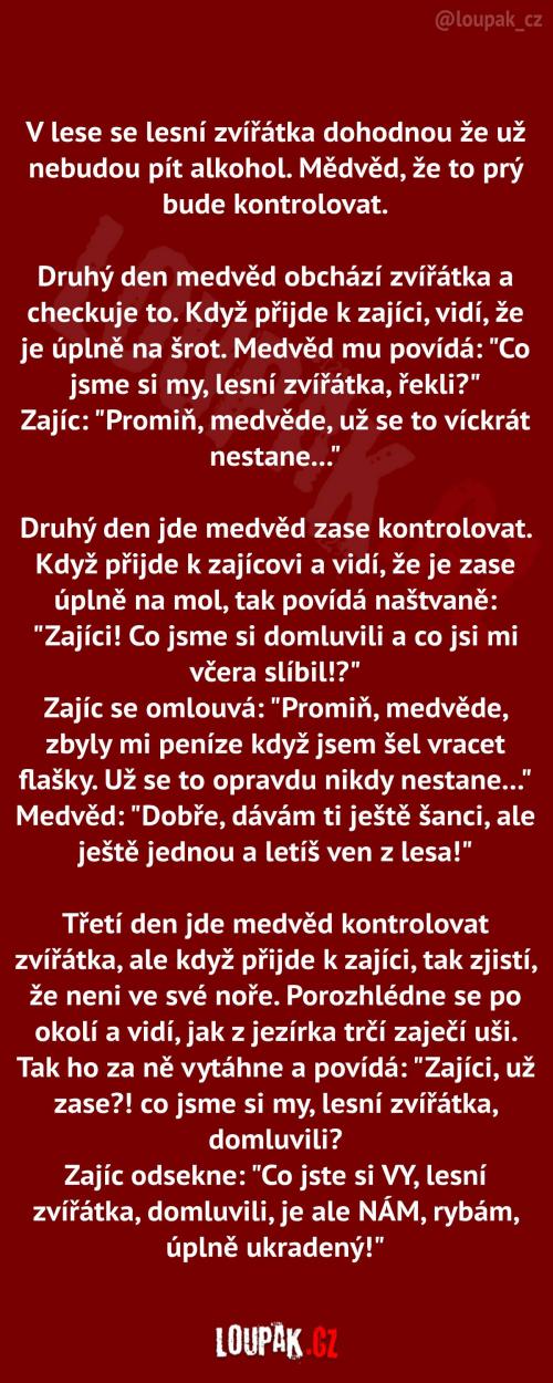  Zajíc to vyřešil po svém 