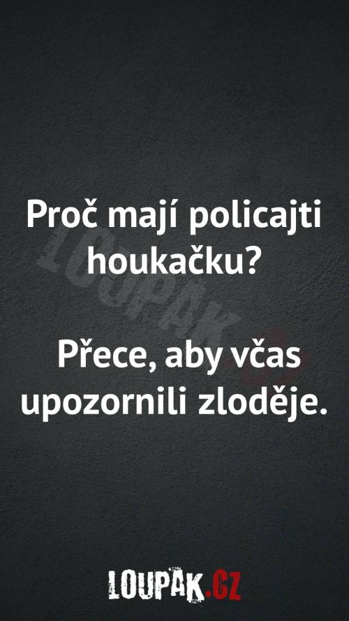  Proč policisté mají houkačku 