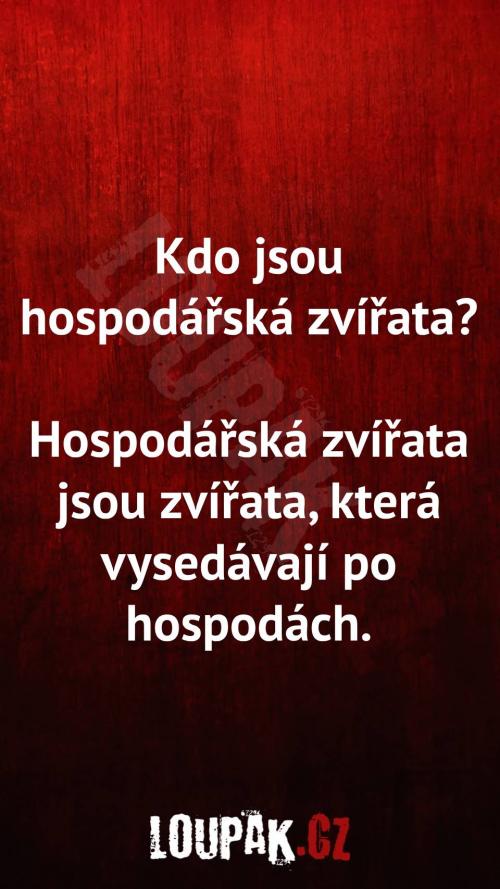  Kdo jsou hospodářská zvířata 