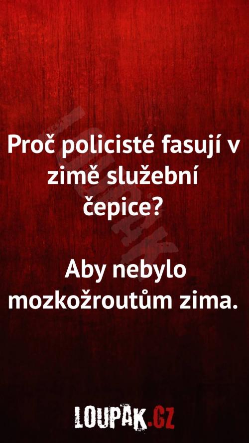  Proč policisté fasují v zimě služební čepice 