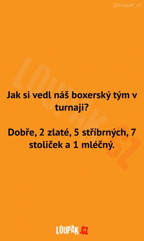  Jak si vedli boxeři v turnaji 