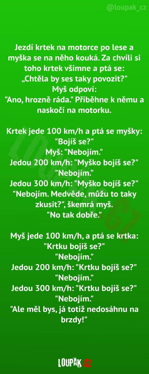  Krtek a myš na motorce 