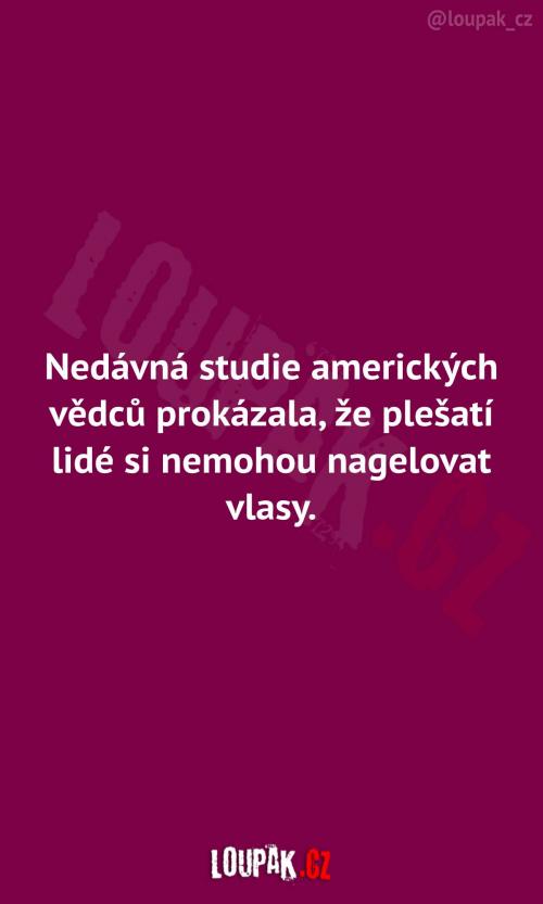  Studie o plešatých lidech 