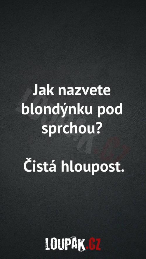  Jak nazvete blondýnku pod sprchou 