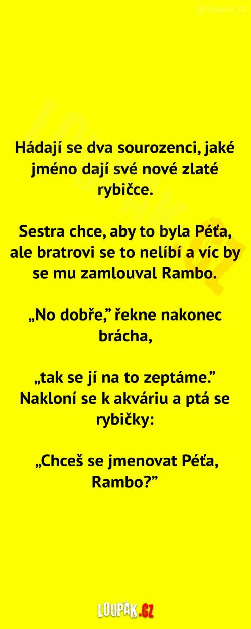  Nová zlatá rybička   