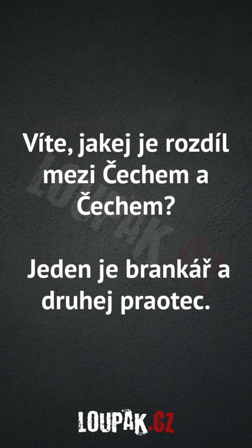 Rozdíl mezi Čechem a Čechem Rozdíl mezi Čechem a Čechem