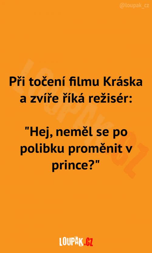 Zmatek při natáčení filmu Zmatek při natáčení filmu