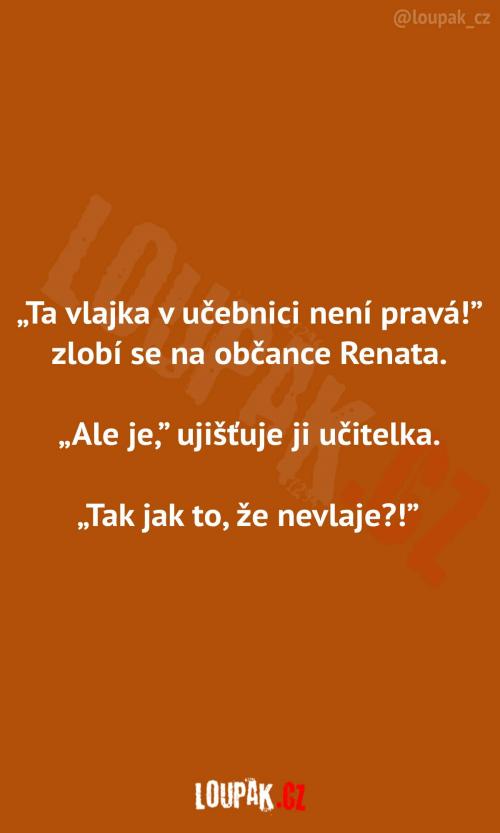 Špatná vlajka v učebnici 
