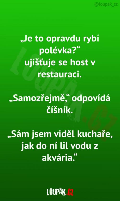 Stoprocentní rybí polévka