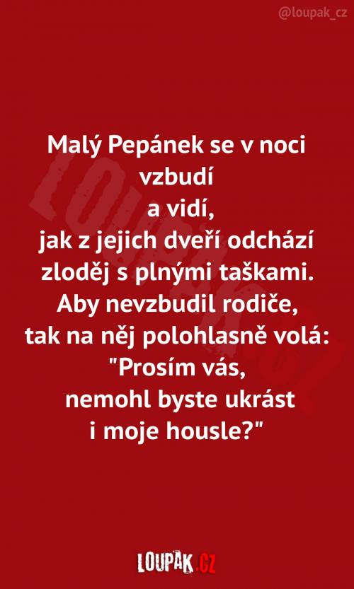  Chlapec umí využít situace 