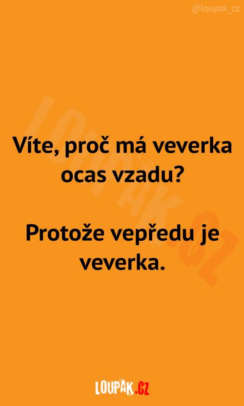  Proč má veverka ocas vzadu 