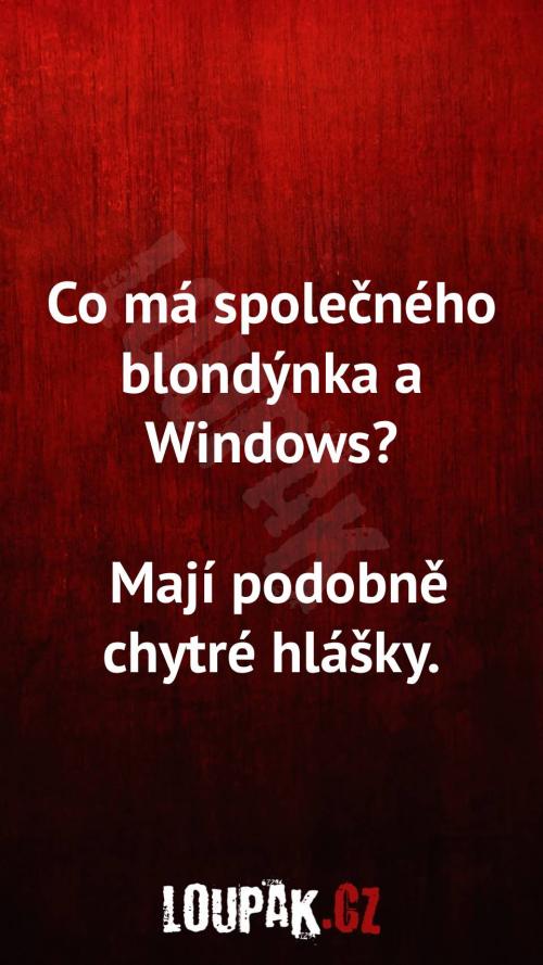 Co má společného blondýnka a Windows Co má společného blondýnka a Windows
