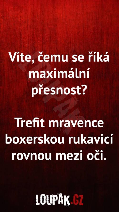  Čemu se říká maximální přesnost 