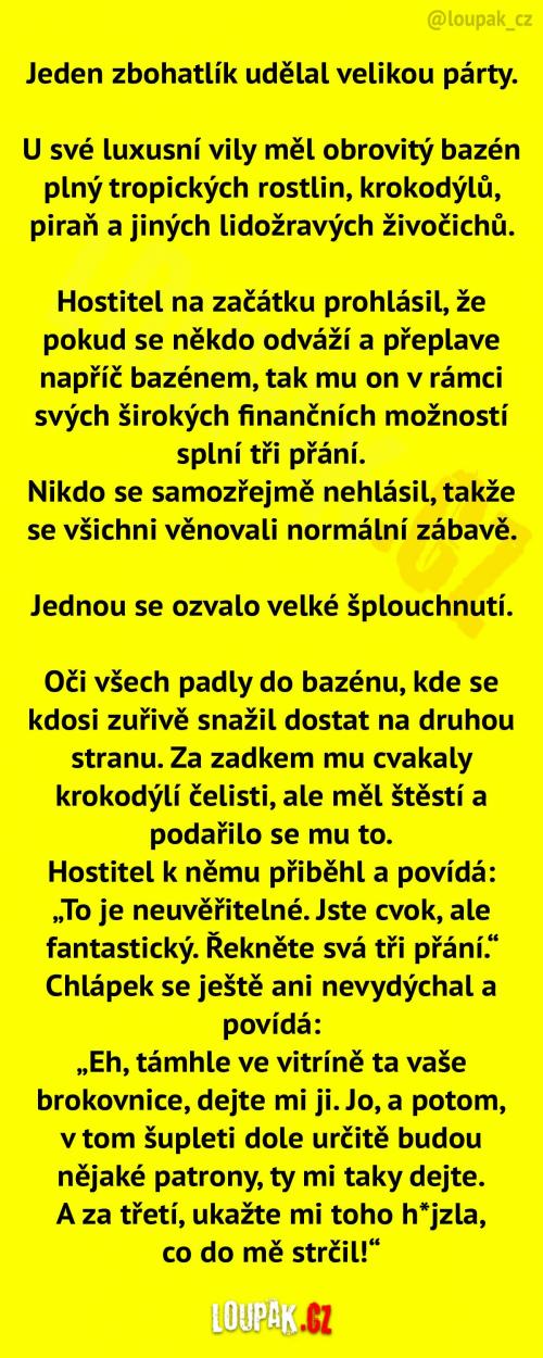 Velká párty zbohatlíka Velká párty zbohatlíka