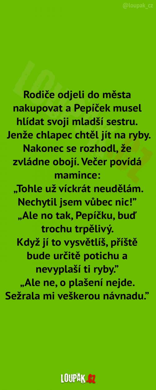 Hlídání mladší sestry Hlídání mladší sestry