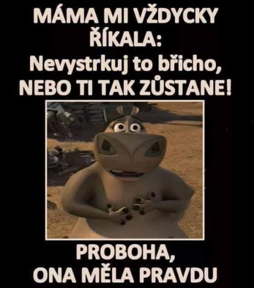  Asi měla pravdu 