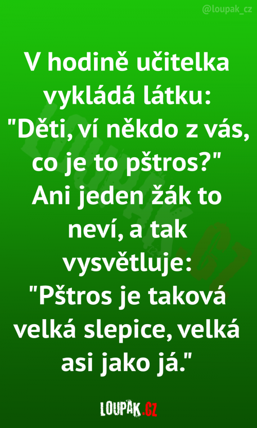  V hodině učitelka vykládá látku a ptá se 