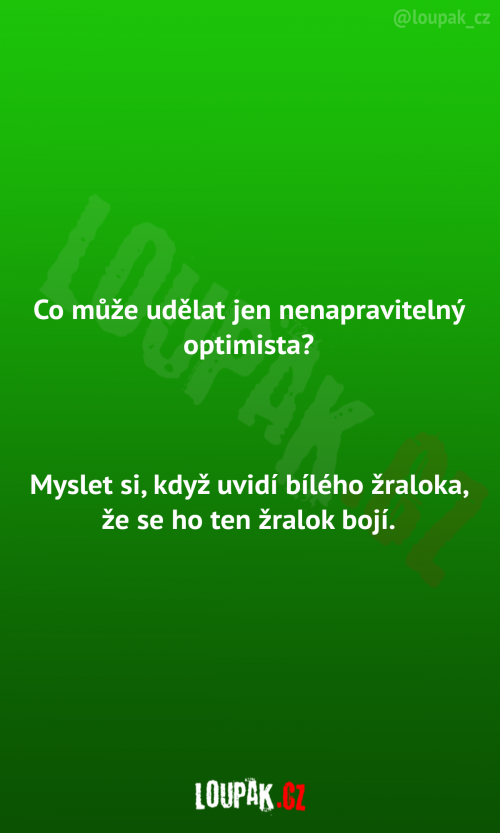  Nenapravitelný optimista 