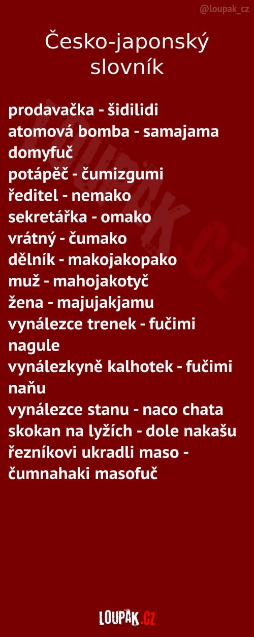  Česko-japonský slovník 