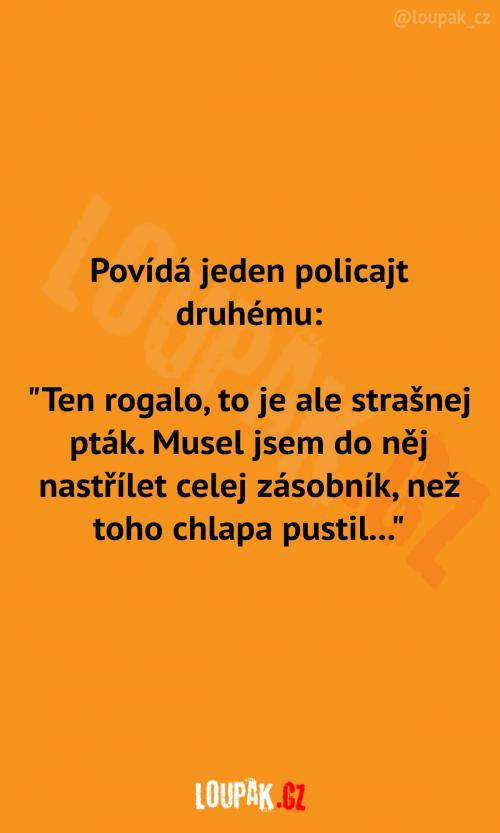 Policajti si povídají o rogalu