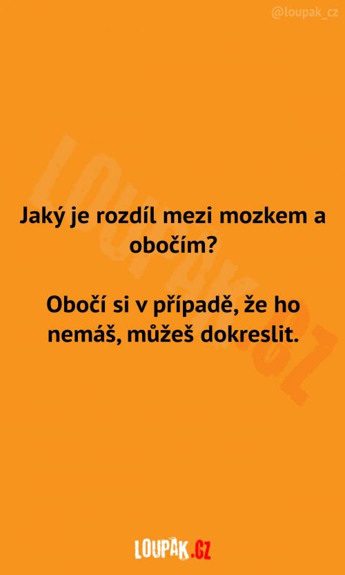  Rozdíl mezi mozkem a obočím 