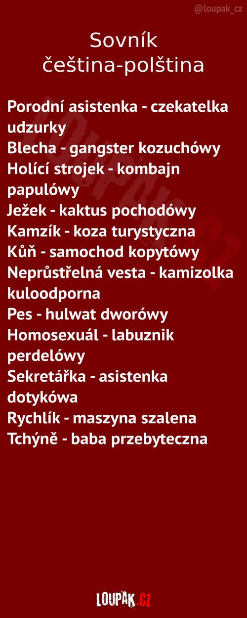  Slovník čeština-polština 
