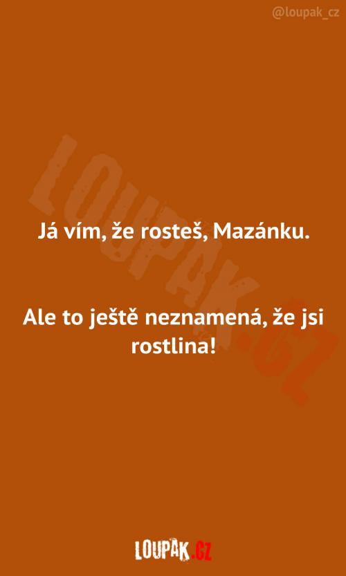 Já vím, že rosteš... 