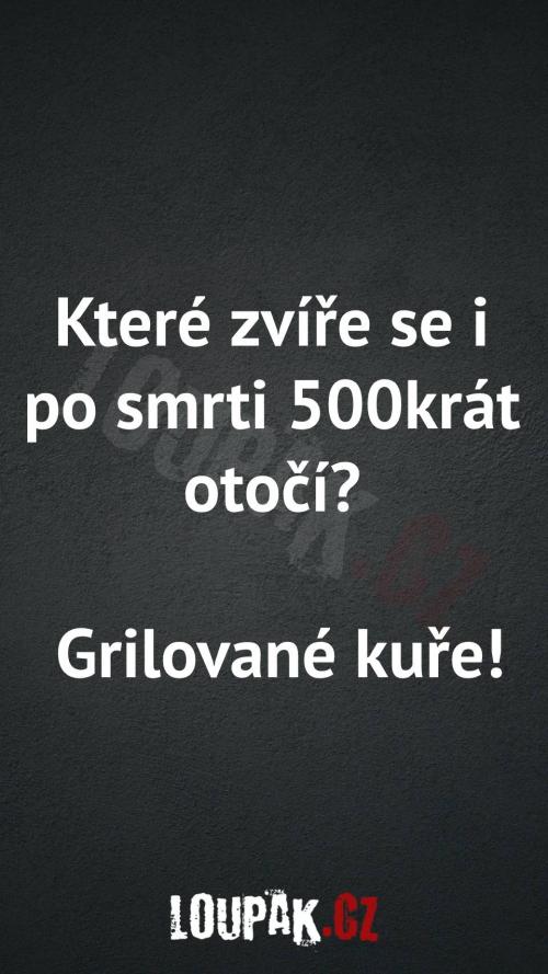  Které zvíře se po smrti 500krát umí otočit 