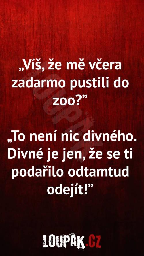  Jak ho mohli pustit zadarmo do ZOO 