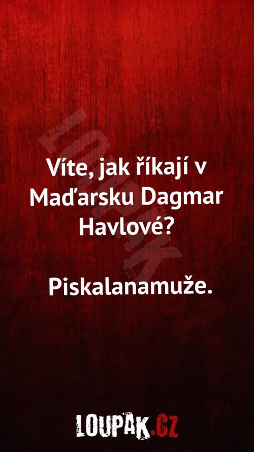  Jak říkají v Maďarsku Dagmar Havlové 