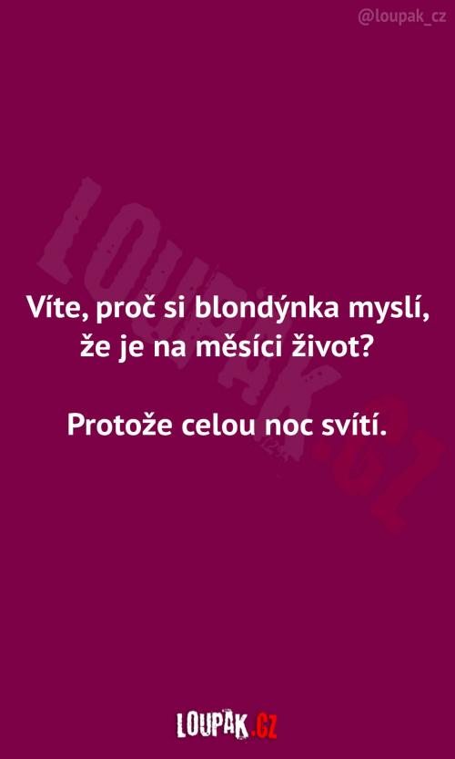 Je tedy na Měsíci život?