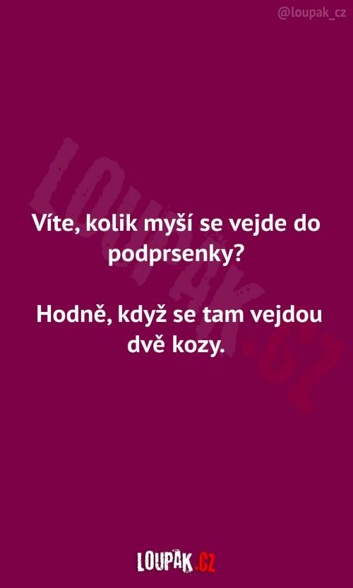  Počet myší v podprsence 